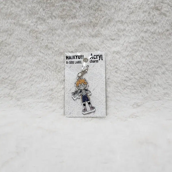 [BUNJANG] Haikyuu Hinata Beside Keyring Charm (Sealed) / [미개봉] 하이큐 히나타 비사이드 키링 참