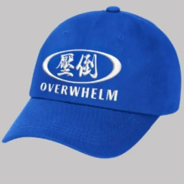 [BUNJANG] APDO Main Circular Logo Hat Blue / 미개봉)압도 메인원형 모자 블루