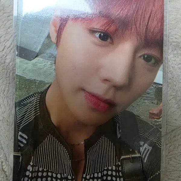 [BUNJANG] Park Jihoon Photocard / 박지훈 포카 포토카드 판매