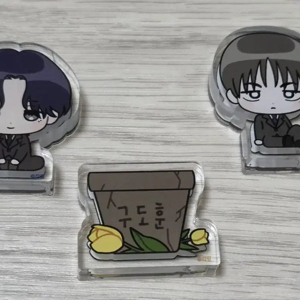 [BUNJANG] Yu Won Bul Byeon Flower Pot Acrylic Block / 오늘만 급처) 유원불변 화분 아크릴 블록 코롯토