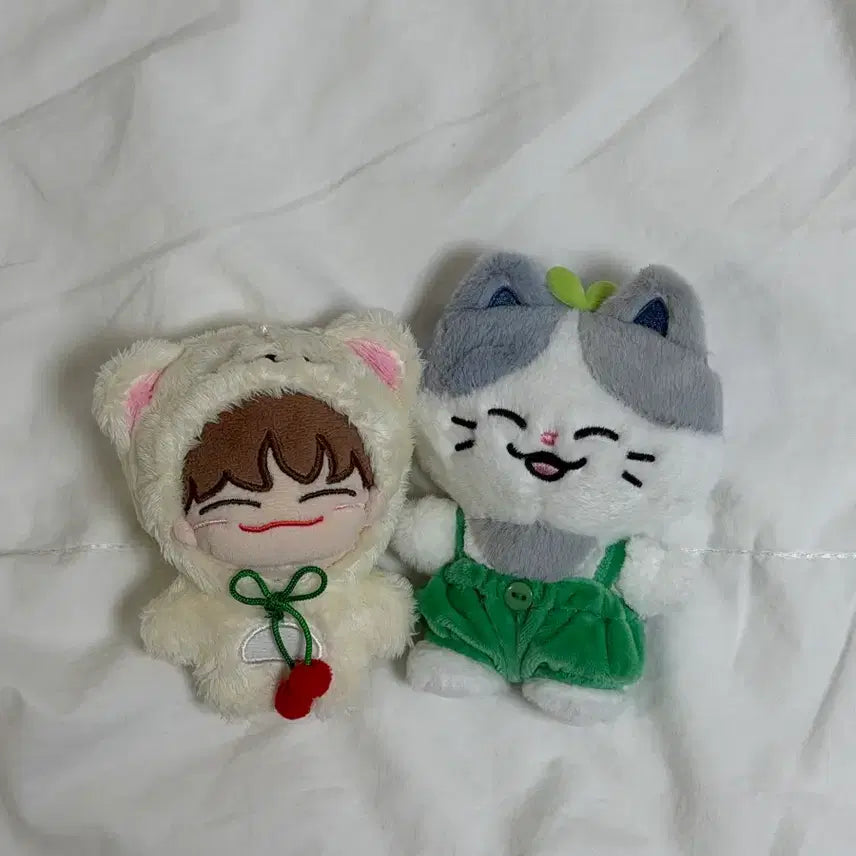 [BUNJANG] NCT DREAM Chenle Lucky Box, Cozy Cat Bundle Set / 급처) 엔시티드림 천러 러묘, 꼼러 일괄 판매