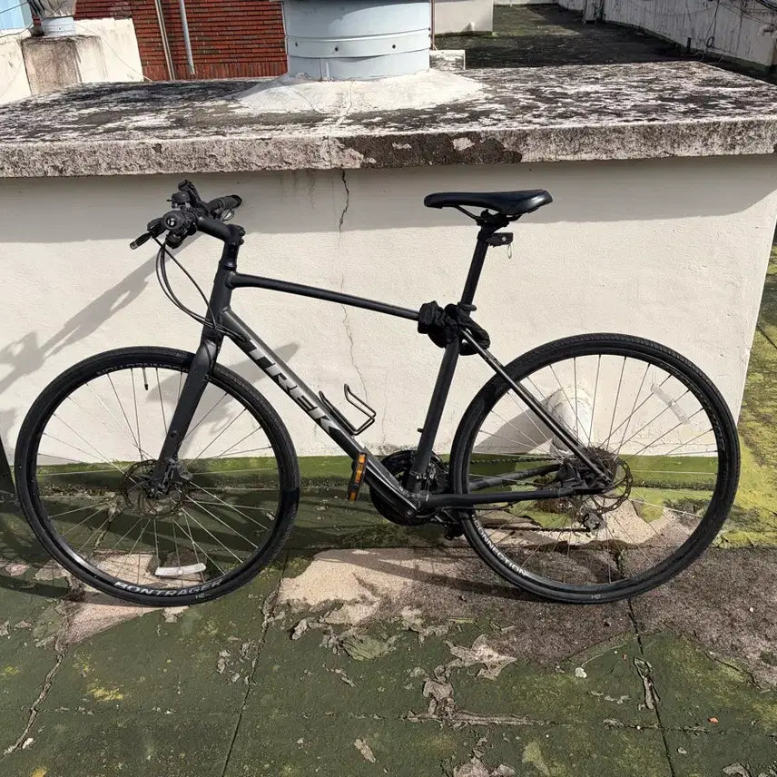 [BUNJANG] Trek 2020 FX2 Disc Bicycle (L Size) / 트렉 20년식 fx2 디스크 L사이즈