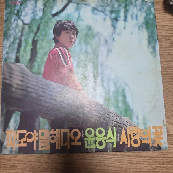 [BUNJANG] Yoon Eung-sik 'Wave, Tell Me' LP / 윤응식 파도야 말해다오 시청의 꽃 LP