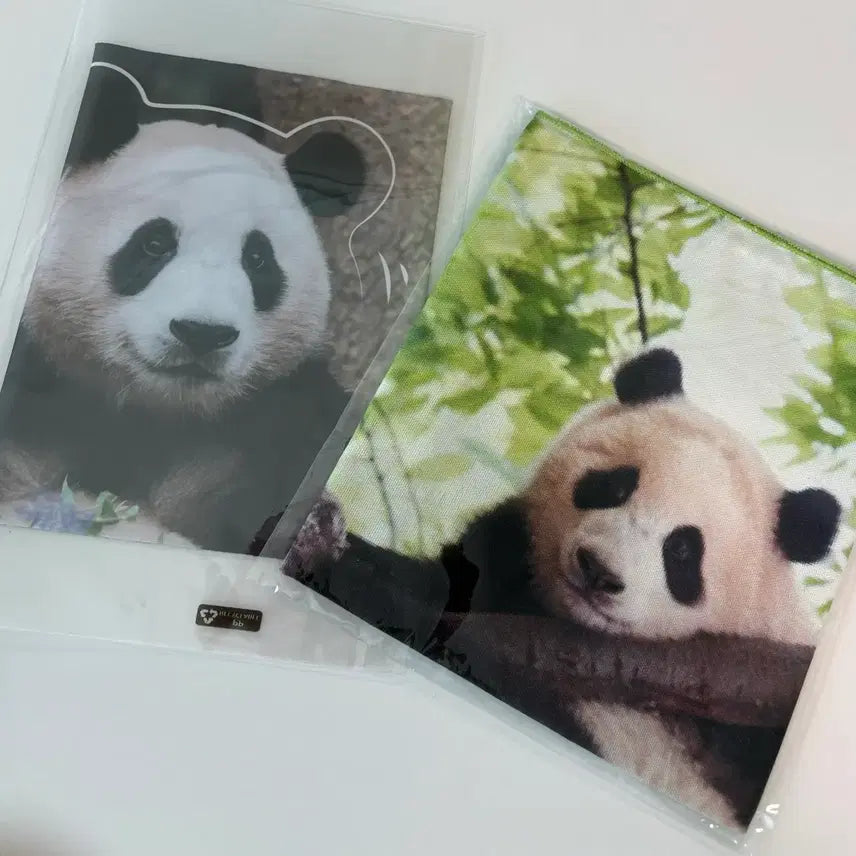 [BUNJANG] Fu Bao First Edition Goods Bundle Set / 푸바오 초판굿즈 일괄