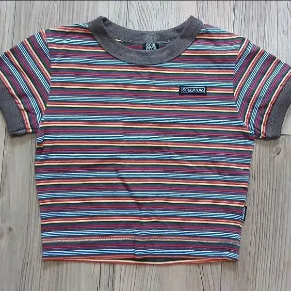 [BUNJANG] Sculptor Rainbow Ringer Crop Tee / 스컬프터 레인보우 링거 크롭 티