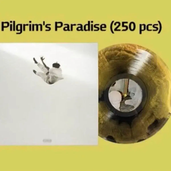 [BUNJANG] Daniel Caesar Pilgrim's Paradise LP Limited Edition / 다니엘 시저 Pilgrim's Paradise lp 한정반