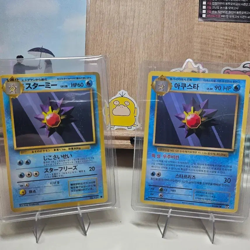 [BUNJANG] Pokemon Akwsta Set (Old Back, CP) / [포켓몬카드] 아쿠스타 세트 ( 올드백, CP )
