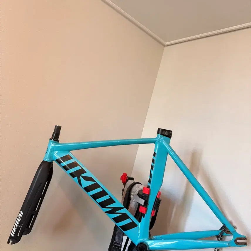 [BUNJANG] Aggro x Unknown Singular 2 Fixed Gear Frameset / 어그로 X 언노운 싱귤 2 픽시 자전거 프레임셋 판매