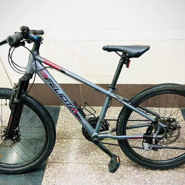 [BUNJANG] Felicita MTB Bicycle / 펠리치타 자전거