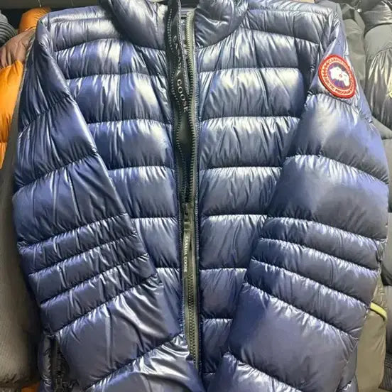 [BUNJANG] Canada Goose Navy Padded Parka / 캐나다구스 네이비 패딩
