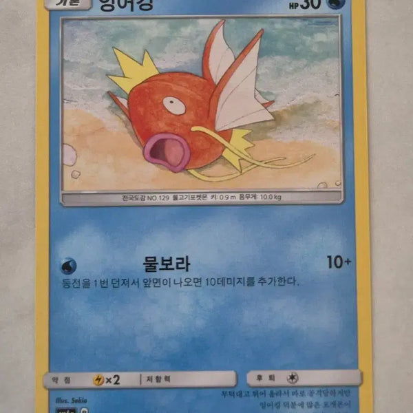 [BUNJANG] Pokemon Magikarp SM6a C Common Card / 수. 포켓몬카드 잉어킹 sm6a C 일반