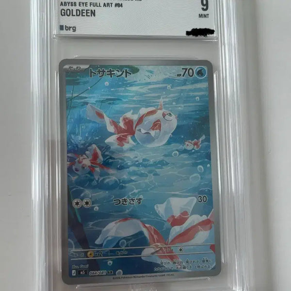 [BUNJANG] Pokemon Card Konchi AR (JP) / 포켓몬카드 콘치 AR (일판) (brg9)