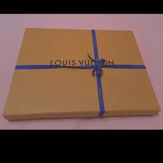 [BUNJANG] Louis Vuitton Clutch Box / 루이비통클러치 박스