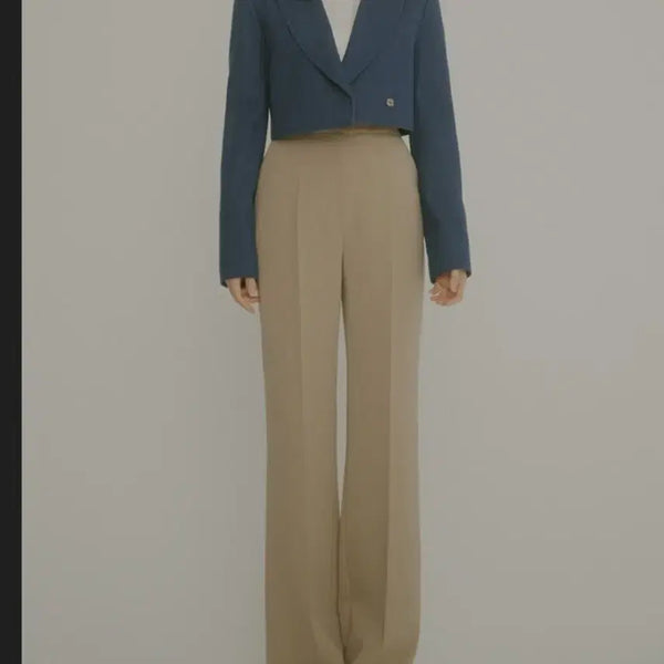 [BUNJANG] HANAVO Indigo Blue Cropped Jacket Size 1 / HANAVO 하나보 인디고 블루 크롭 자켓 1size _ 여성