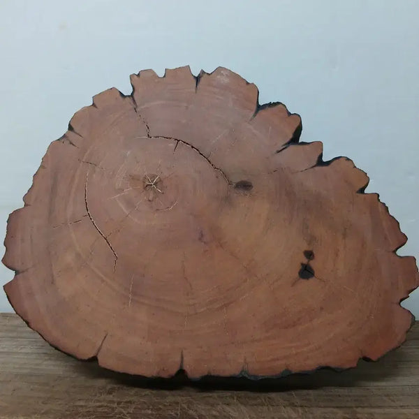 [BUNJANG] Premium Korean Birch Fingerboard / 수석 자연수석 박달나무지판
