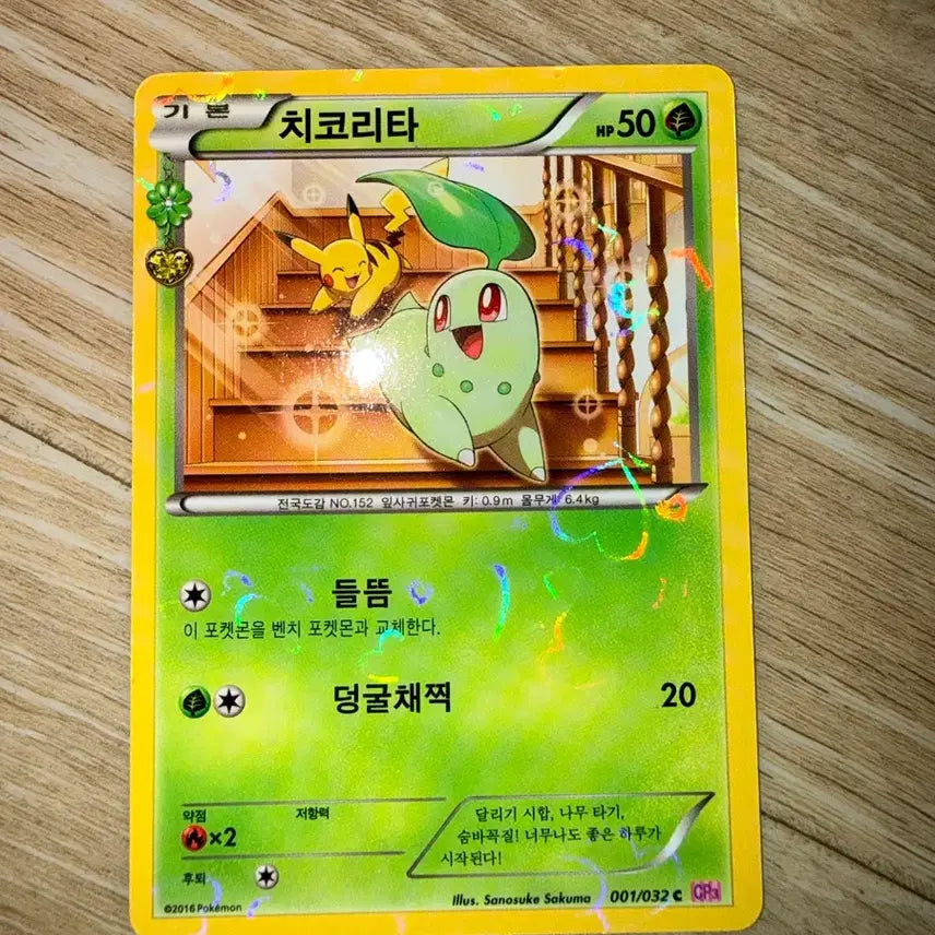 [BUNJANG] Chikorita Pocket Card / 포켓심쿵카드 치코리타