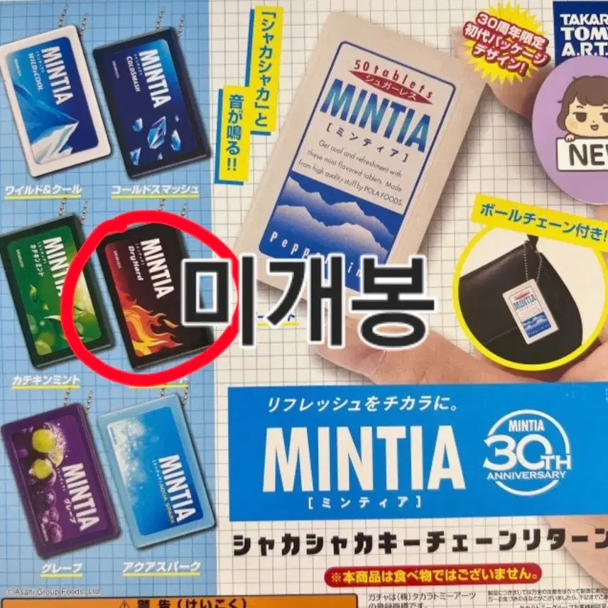 [BUNJANG] MINTIA Shaka Shaka Keychain / 미개봉) 민티아 키링 샤카샤카 키체인 드라이하드