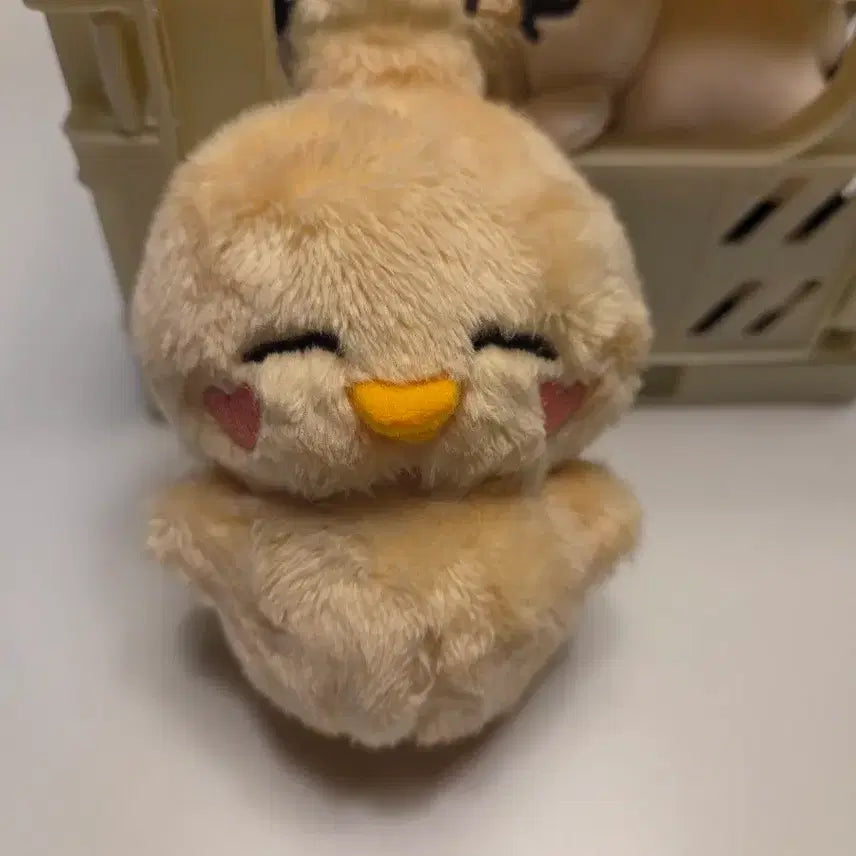 [BUNJANG] Jimin (BTS) Chick Doll / 지민 인형 : 병아리