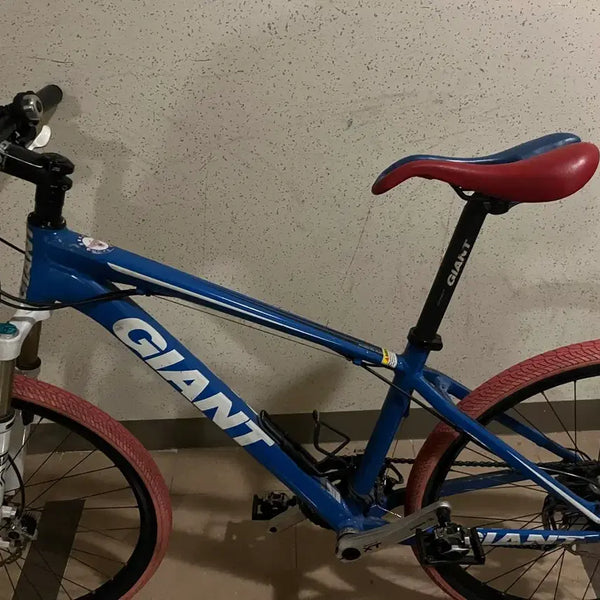 [BUNJANG] Giant Bicycle Blue Red / 자이언트 자전거 블루 레드