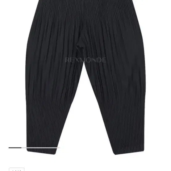 [BUNJANG] Issey Miyake Pleated Pants (Size 2) / 이세이미야케 플리츠 팬츠 (2)
