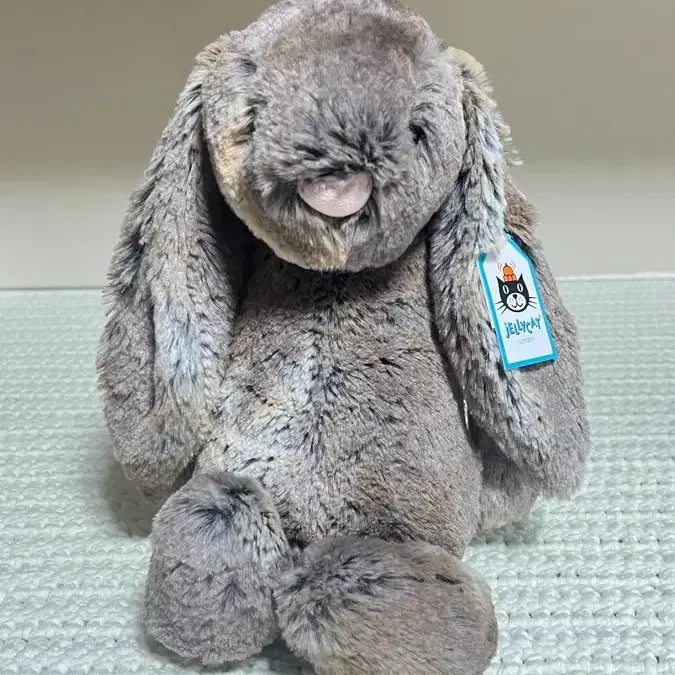 [BUNJANG] Jellycat Bashful Bunny / 젤리캣 바쉬풀