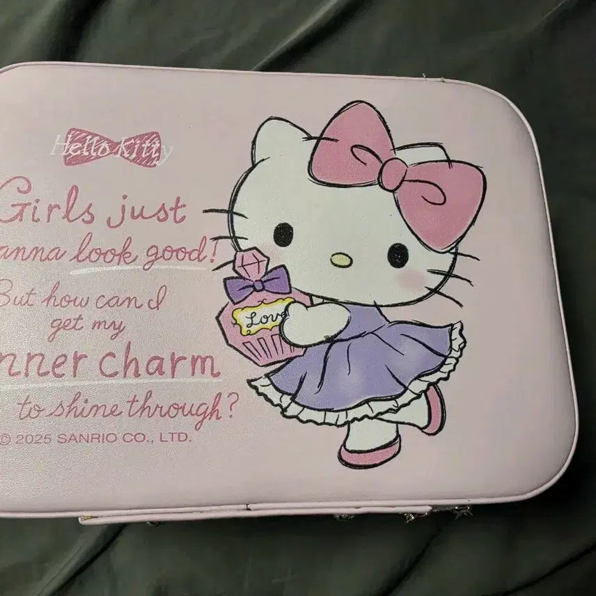 [BUNJANG] Sanrio Hello Kitty Hard Pouch / 헬로키티 하드백