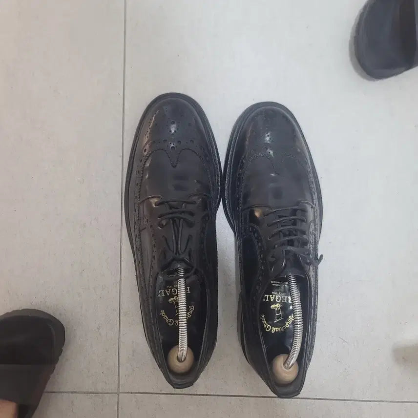 [BUNJANG] Regal Imperial Grade Wingtip Shoes - Black / REGAL 임페리얼 그레이드 윙팁 슈즈 블랙 260  팝니다.
