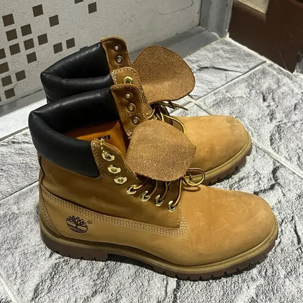 [BUNJANG] Timberland 6-Inch Premium Boots / 팀버랜드 남성 팀버랜드 6인치 프리미엄 부츠 250