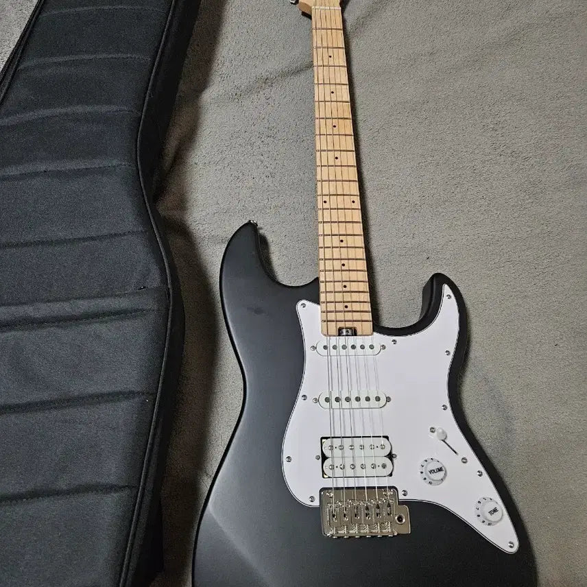 [BUNJANG] HEX E100 Electric Guitar Black / 신품급 헥스 일렉기타 E100