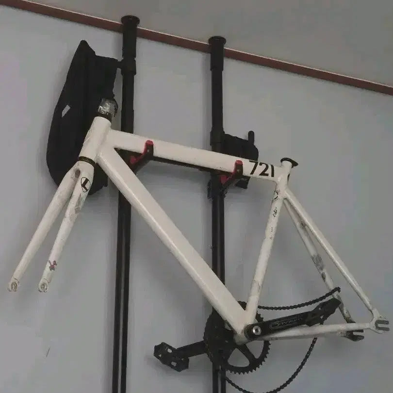 [BUNJANG] RIDEFOX 721 Frameset / 리더 픽시 721 프레임셋 급처!!