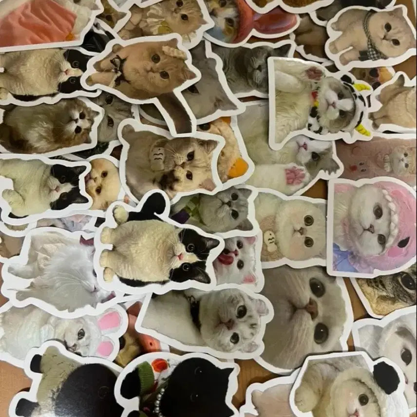 [BUNJANG] Random Sticker Pack (50 Pieces) / 조각스티커 랜덤 50장