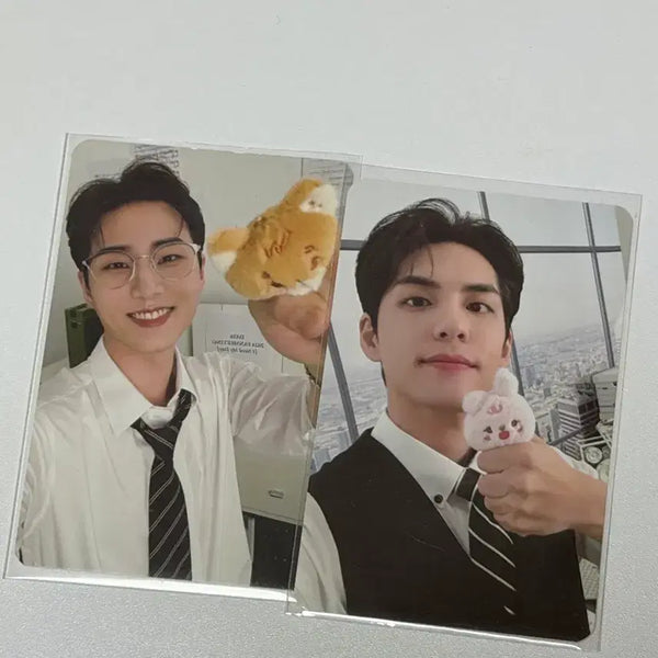 [BUNJANG] Day6 Young K & Wonpil Bundle Set Photocard / 영케이+원필 포카 일괄 양도