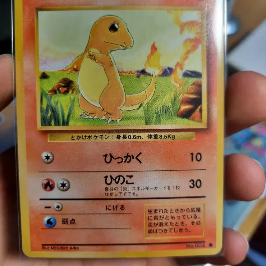 [BUNJANG] First Edition Charmander Trading Card / 초판 파이리(판매/교환) (반택 1,000원)