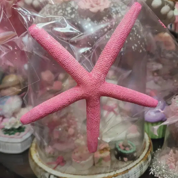 [BUNJANG] Pink Starfish Import Shabby Seashell / 핑크색 불가사리 수입 쉐비 씨쉘