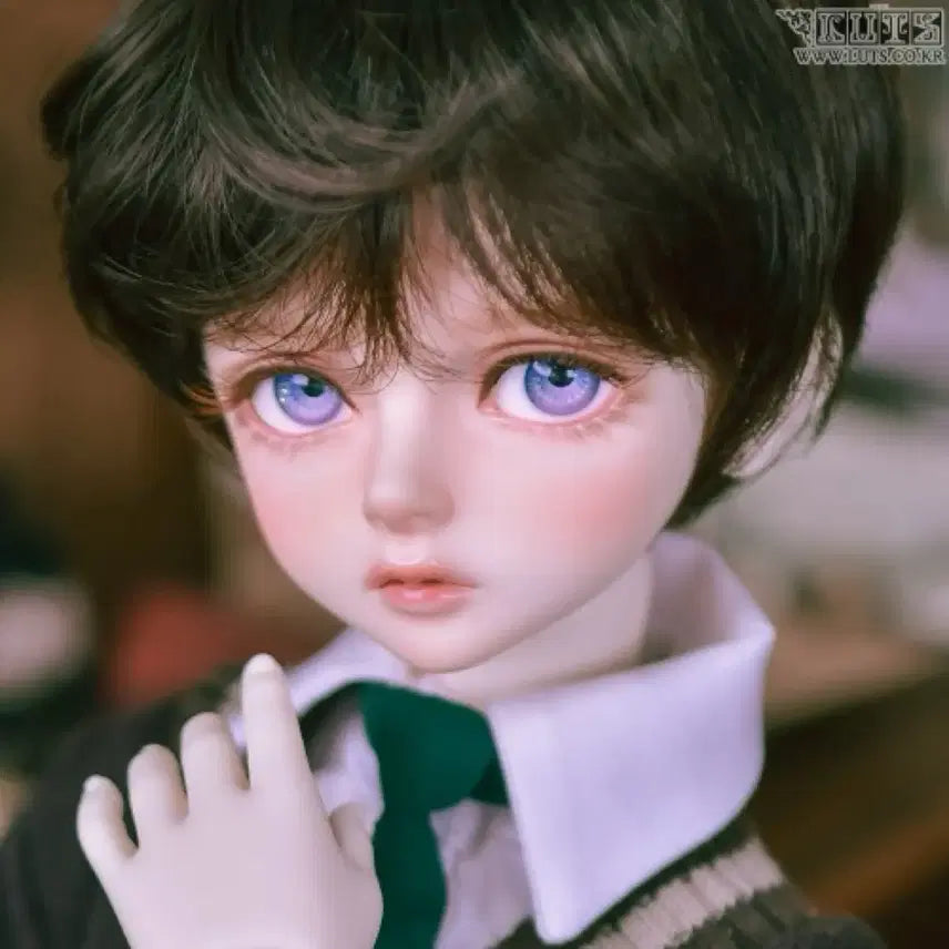 [BUNJANG] Roots Doll Kid Delf Bori Sealed Doll / 루츠돌 키드델프 보리 미개봉 판매합니다