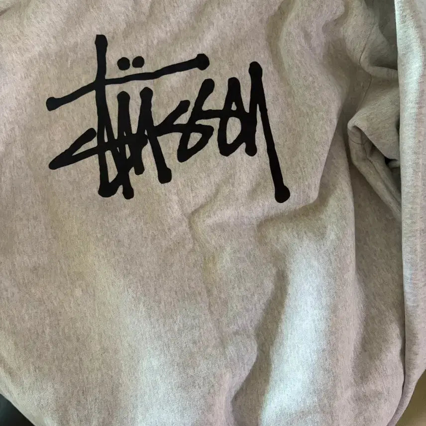 [BUNJANG] Stussy Hoodie / 스투시 후드