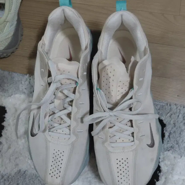 [BUNJANG] Nike Shoes / 나이키신발