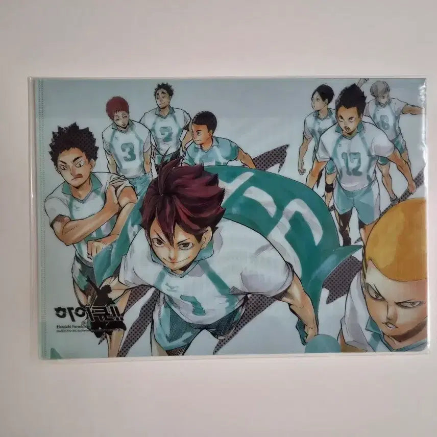 [BUNJANG] Haikyu!! Clear File & L-Holder / 하이큐 클리어파일 하이큐 엘홀더
