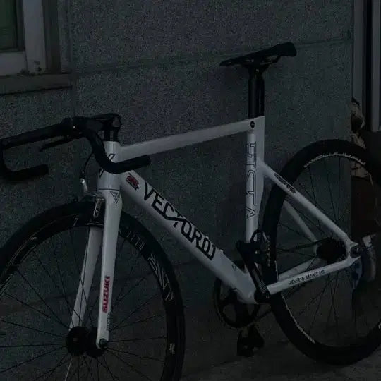 [BUNJANG] Vector Pista S Size Complete Bike / 벡터 피스타 s사이즈 완차 판\대