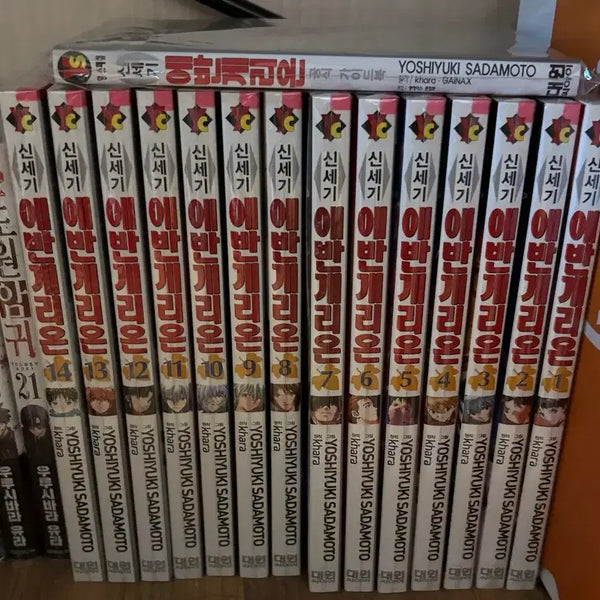 [BUNJANG] Neon Genesis Evangelion Complete Manga Set / 신세기 에반게리온 만화책 전권