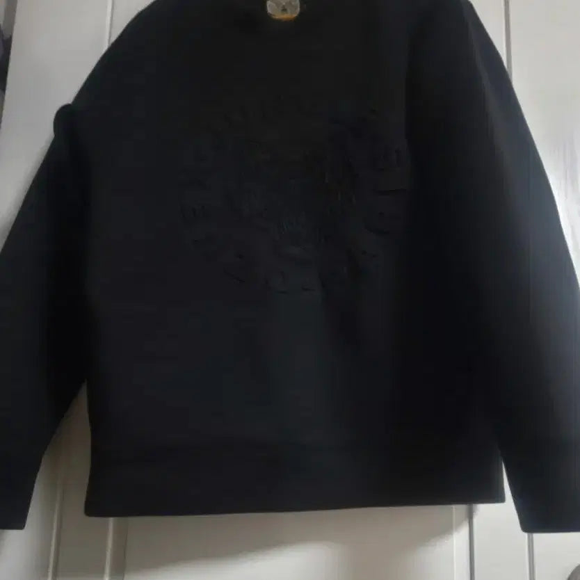 [BUNJANG] Kenzo Lightweight Sponge Fabric Sweatshirt Size 105 / 겐조 아주 가벼운 스펀지 원단 맨투맨105사이즈