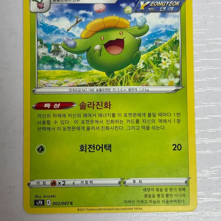 [BUNJANG] Dukko Cute Pokemon Card / [귀여운 포켓몬카드] 두코