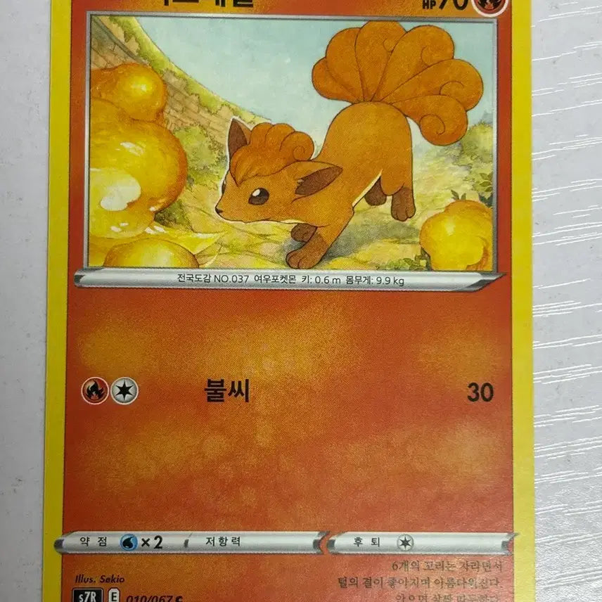 [BUNJANG] Cute Pokemon Card - Vulpix / [귀여운 포켓몬카드] 식스테일