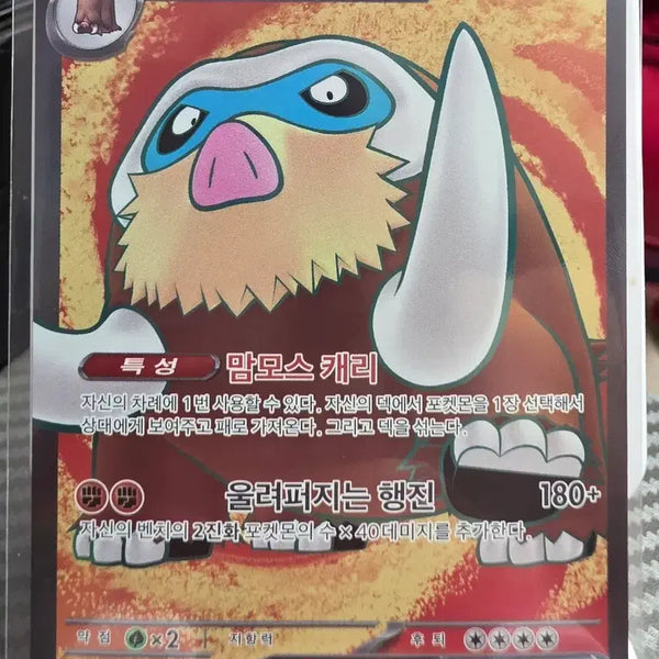 [BUNJANG] Pokemon Card Mamoswine EX SR / 포켓몬 카드 맘모꾸리 EX SR