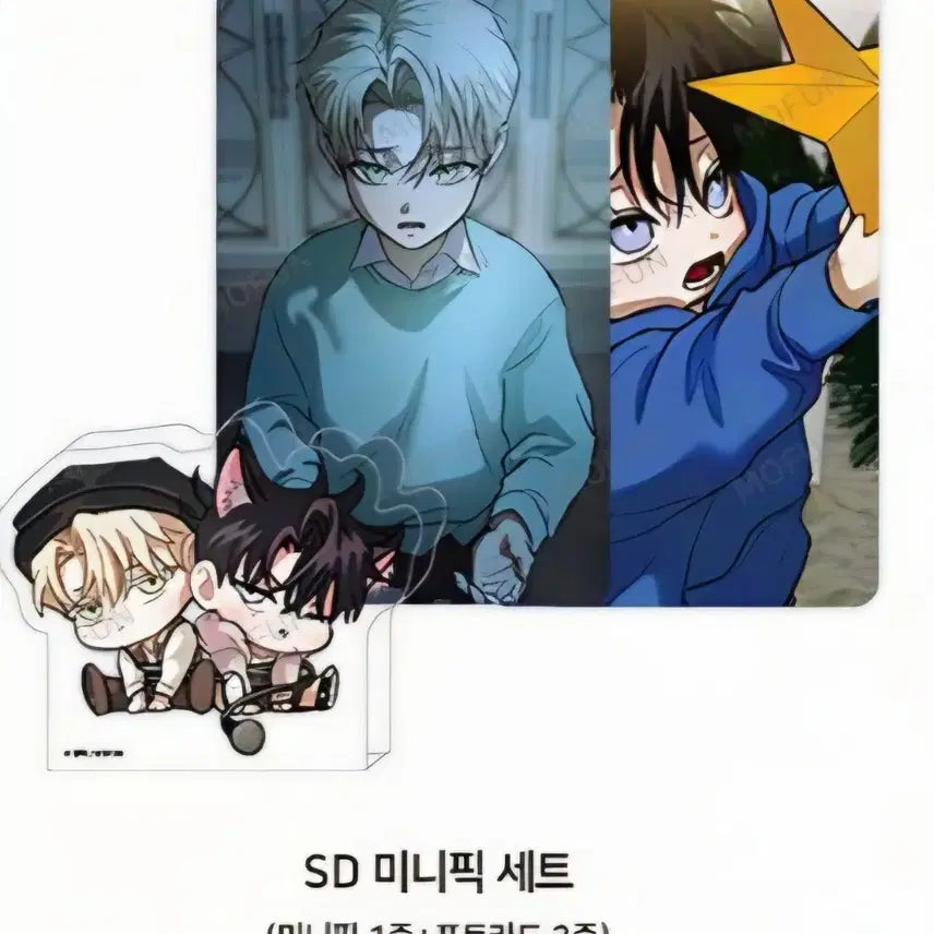 [BUNJANG] Flashlight SD Mini-Pik Set / 플래시라이트 SD 미니픽 세트