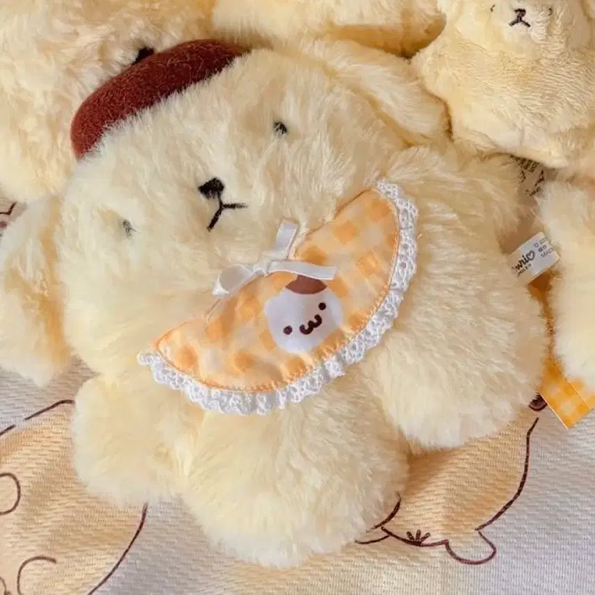 [BUNJANG] Pompompurin Reel Pass / 그때그시절 폼폼푸린 릴패스