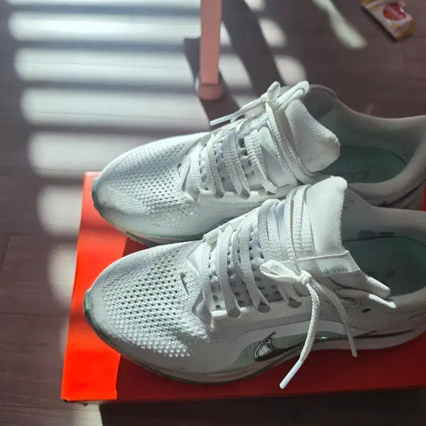 [BUNJANG] Nike Pegasus Premium Running Shoes / 나이키 페가수스 프리미엄
