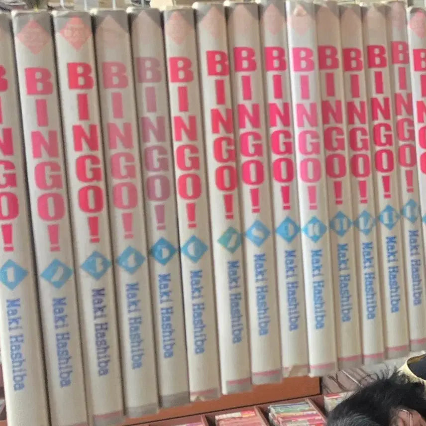[BUNJANG] Bingo! Complete Set Volumes 1-16 / 중고도서)빙고1-16완 무료배송