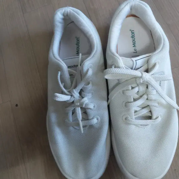 [BUNJANG] Lemontou Sneaker 250 / 르무통신발250