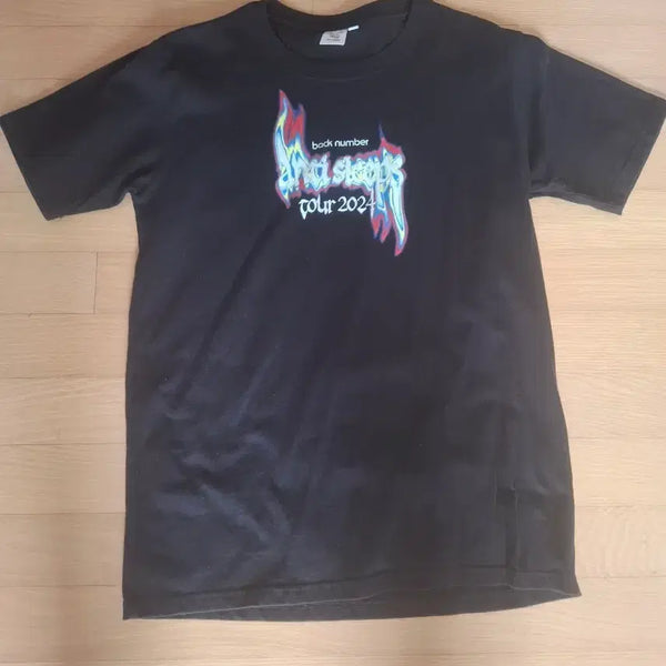 [BUNJANG] Back Number 2024 Tour T-Shirt / 백넘버 back number 2024투어 티셔츠 L